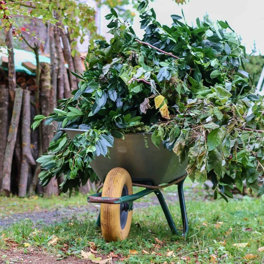 Häufige Fragen zum Grünschnitt Container